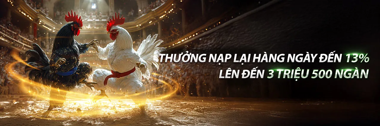 Sân vận động tràn ngập ánh sáng, biểu tượng cho cá cược thể thao sôi động tại playiwin khuyến mãi